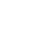 veski teod logo