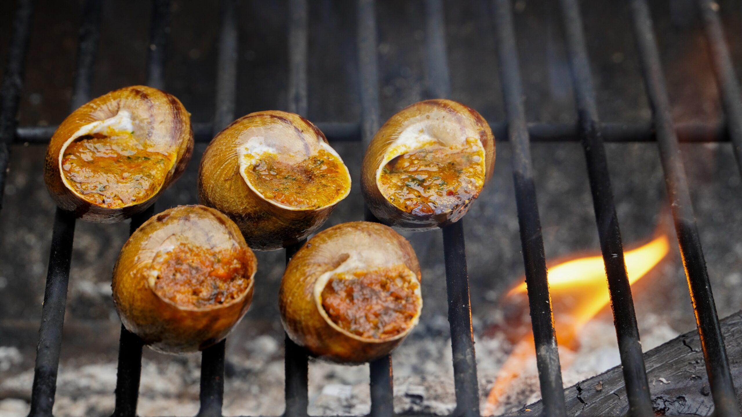 chilline escargot grillil chilline escargot grillil